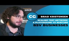 Brad Kristensen: The Scaling Test Network makes big blocks a reality