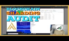 Does Blockchain Sharding Actually Work? VoskCoin Apollo Sharding Verification Test