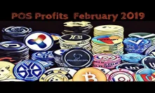 Cryptocurrency Staking Rewards (Ark, NEO, Stellar, Divi) February 2019