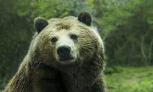 Stellar Lumens [XLM] Technical Analysis: Bears claim throne as bulls move back to shadows