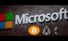 Microsoft Just Released the Cryptocurrency Bulls! 