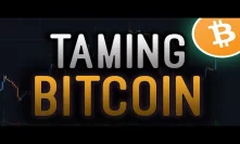 Bitcoin's Irrational Volatility - Explained