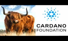 King Cardano Bullrun Looking Strong + ADA AION Collaboration Update