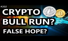 Crypto Bull Run or False Hope? - Daily Deals: #202