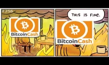 ???? ???? Bitcoin Cash Hard Fork Aftermath ????????