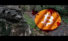 Bitcoin Bears in Full Force - Expecting More Blood & Lower Lows