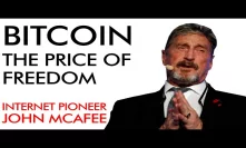 Bitcoin & The Price of Freedom with John McAfee