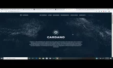 Cardano Update Bitcoin Hanging on As We See Markets Crashing