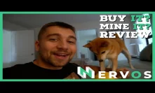Why YOU Should Buy or Mine this Altcoin | Nervos CKB Review