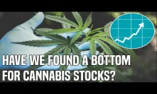 Cannabis Stocks Rally | Is The Bottom In For 2020?