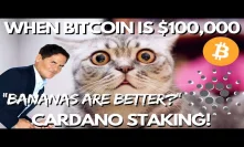 Bitcoin Bouncing Back, Out Of Critical Zone? Cardano Staking Rewards, Binance Delist Bittorrent Pair