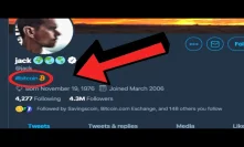 BITCOIN BEYOND BULLISH!! Twitter CEO Adds Bitcoin To BIO | Andrew Yang on Cryptocurrency | XRP Moves