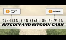 Difference in Reaction Between Bitcoin and Bitcoin Cash