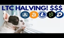 When is LITECOIN Halving? $650 LTC? HUGE MCO and NULS Cryptocurrency News!