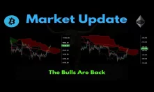 Market Update: The Bulls Are Back