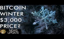 Bitcoin Price Winter - Will We Break Below $3,000?