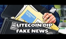 Bloody Bitcoin & Litecoin Goldman Sachs FAKE NEWS