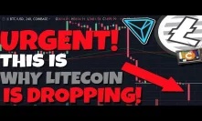 URGENT: This Is Why Litecoin Is Dropping - BitTorrent & Tron Talk