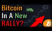 Will The New Bitcoin Rally LAST? Litecoin Halving In TWO DAYS!