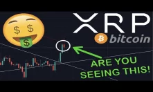 The Plan for RIPPLE XRP to SURGE To ATH | BITCOIN Has ONE Last Thing To PROVE For BULL MARKET