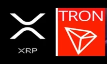 I still thinking 2019 is the year for XRP and TRX