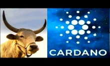 Cardano Bullrun 2020 Year of Proof-of-Stake ADA Will Be A Big Player in Crypto