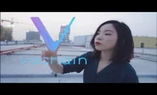 VeChain and DNV GL Introduce Bright Code Project at China International Import Expo 2018