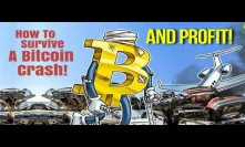 How To Survive When Bitcoin Crashes and Still Make Lots Of Money!!