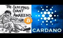 Sleeping Giant Cardano Bullish Bitcoin Signs as World Currencies Become Digital