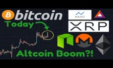 Bitcoin Bull Flag?! Altcoin Boom?! | Bitcoin Dominance & The Next 