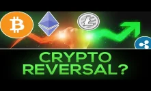 HUGE Crypto REVERSAL Signal Spotted! (Time For The BOUNCE?)