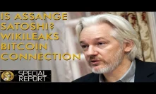 Julian Assange Satoshi Connection & Wikileaks Bitcoin & Crypto Pioneer