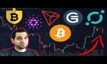Just Another Day In Crypto... Exit Scams, Price Predictions, Trolls, Pump & Dumps, ICOs, Adoption…