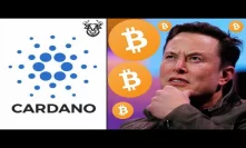 ADA Bullrun Cardano 70% Up YTD Bitcoin Tesla Discussion And BTC Lightning Labs
