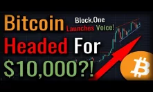 Will This Pattern Send Bitcoin To $10,000? Block.One Launching Social Media Service!