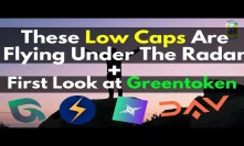 3 Low Caps On My Radar + Greentoken First Look ($FXT $STORM $DAV)