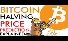 Bitcoin Halving Price Prediction [explained]