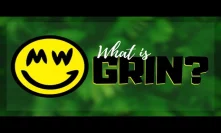 What is Grin?