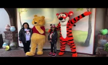 Winney the Pooh and Tigger at Disney Magic Kingdom