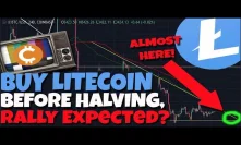 MUST WATCH: Investor Urges To Buy LItecoin Before Halving, Rally Expected?