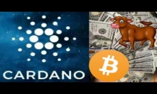 Cardano Bullrun Bitcoin Showing Bullish Signs As cryptocurrency Proves Its Worth