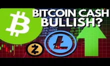 Does BCH FUD Make It BULLISH? Bitcoin Cash Halving, Developer Fund Tax