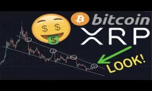 SHOCKING XRP/RIPPLE & BITCOIN FORMING NEW BULL MARKET | ONE CONFIRMATION LEFT
