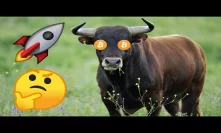 Bitcoin Showed THIS Bullish Sign Today | Vitalik Goes Off | GoChain To The Moon?