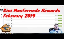 Divi Masternode Rewards February 2019