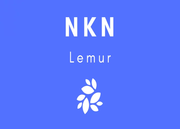 NKN announces TestNet v0.3 Lemur release