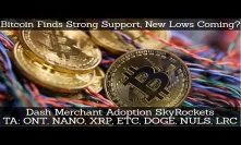Crypto News | Bitcoin Finds Strong Support, New Lows Coming? Dash Merchant Adoption SkyRockets