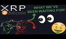 ALMOST MOON TIME! XRP/RIPPLE & BITCOIN RALLY IS ABOUT TO DO SOMETHING AMAZING!
