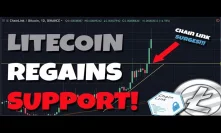 MUST WATCH: Litecoin Regains Crucial Support As ChainLink Surges 30% - TokenDay?