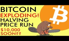 Bitcoin Price EXPLOSION! Halving Run Happening NOW - $10,000 Next? Explained